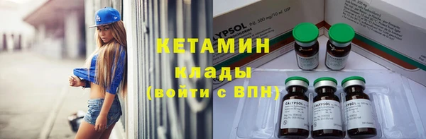 индика Сосновоборск