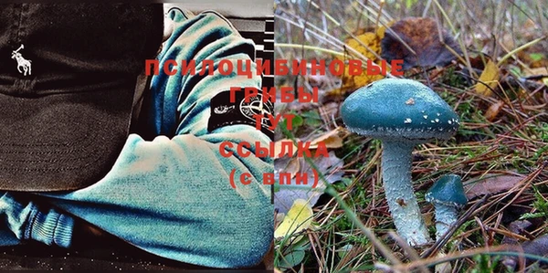 COCAINE Горнозаводск