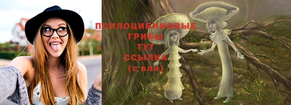 mix Горняк