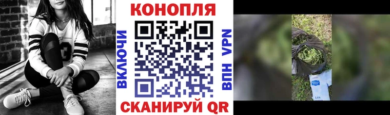 Бошки Шишки планчик  купить наркотики цена  ссылка на мегу   Закаменск 